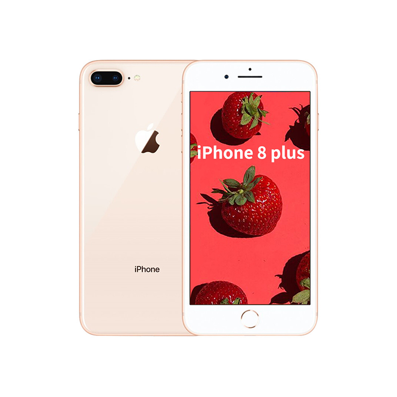 Apple/苹果 iPhone 8 Plus手机出租/租赁【行情 报价 价格】_小租